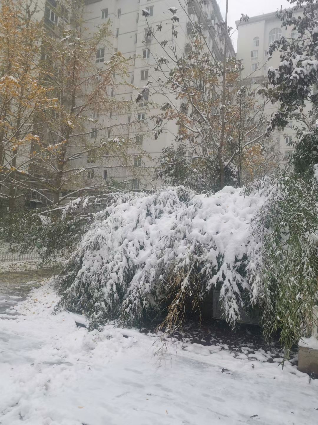 647d691fc67c5199607fb7fcebc3e6d.jpg 647d691fc67c5199607fb7fcebc3e6d.jpg